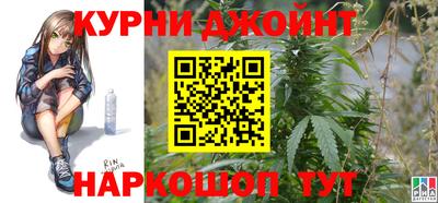 индика Партизанск