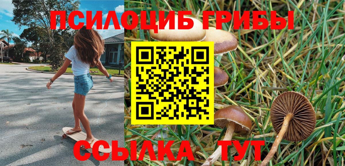 Псилоцибиновые грибы мухоморы  Вход с VPN  Рославль 