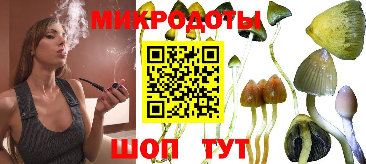 Галлюциногенные грибы прущие грибы Рославль